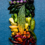Harvest Rainbow